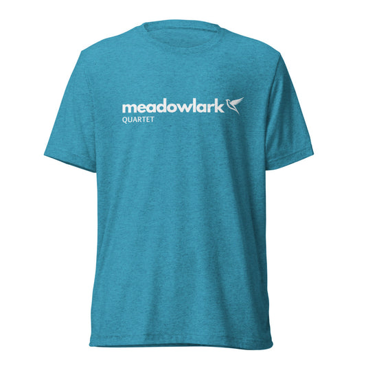 Meadowlark — Unisex Tri-Blend T-Shirt | Bella + Canvas 3413 (Aqua Triblend)