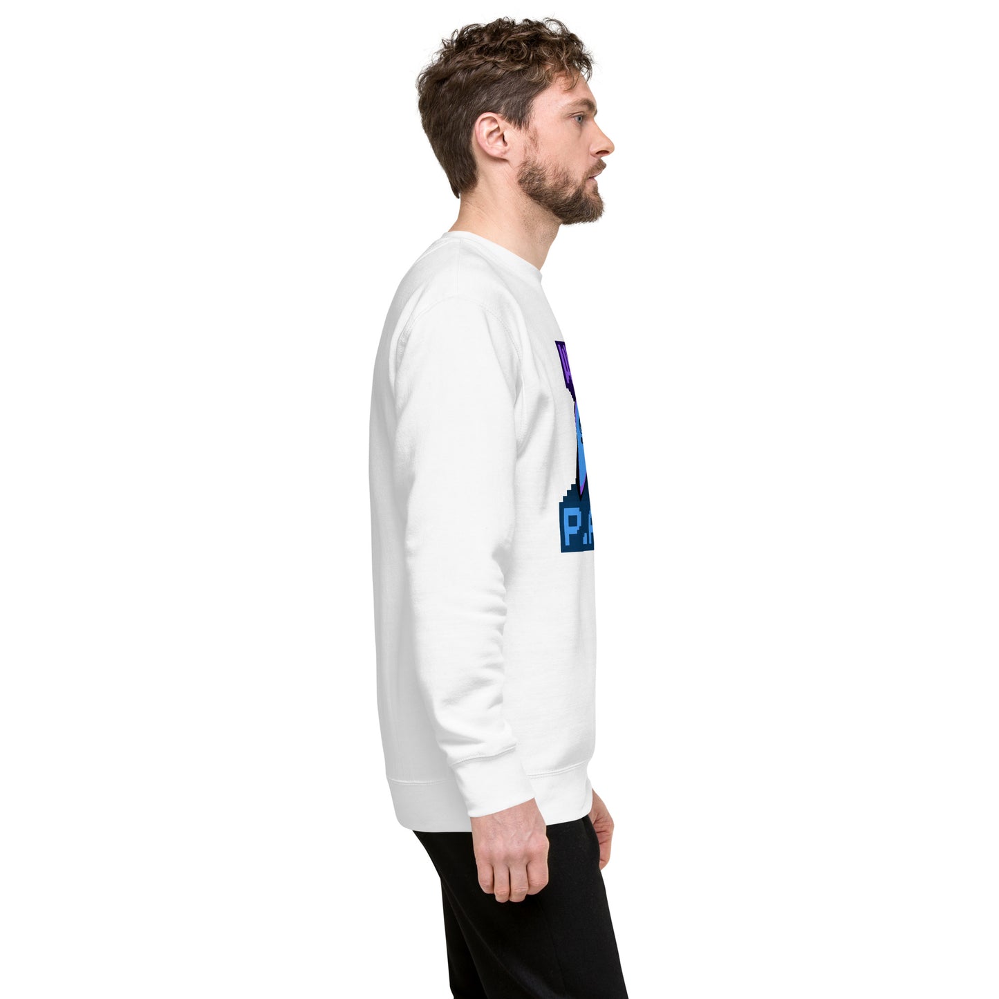 Well Played Printed Unisex Premium Sweatshirt